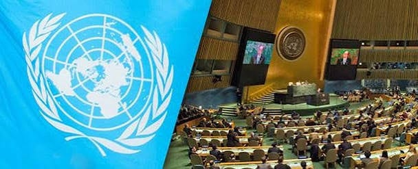UN General Assembly — Torture During Interrogations featuring Mark Fallon